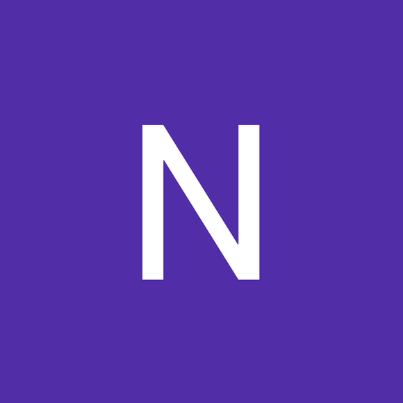 ne1993